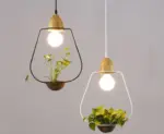 Homeko Planter Pendant Lights