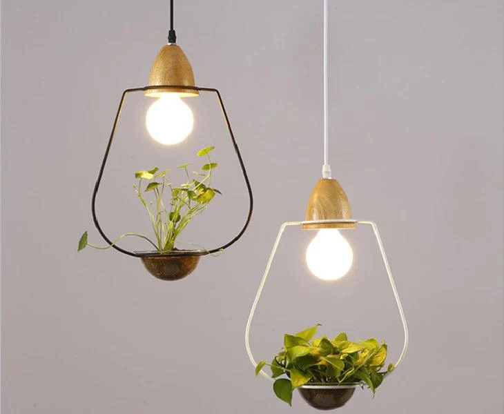 Homeko - Planter Pendant Lights -