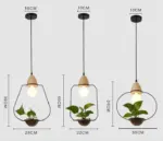 Homeko Planter Pendant Lights