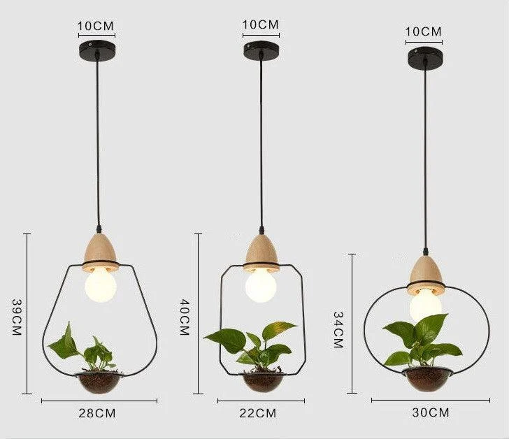 Homeko - Planter Pendant Lights -