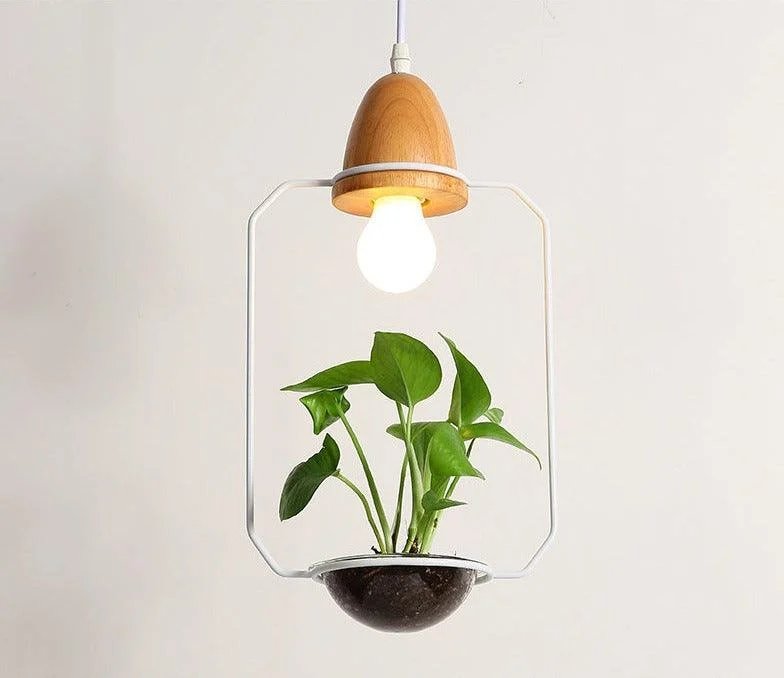 Homeko - Planter Pendant Lights -