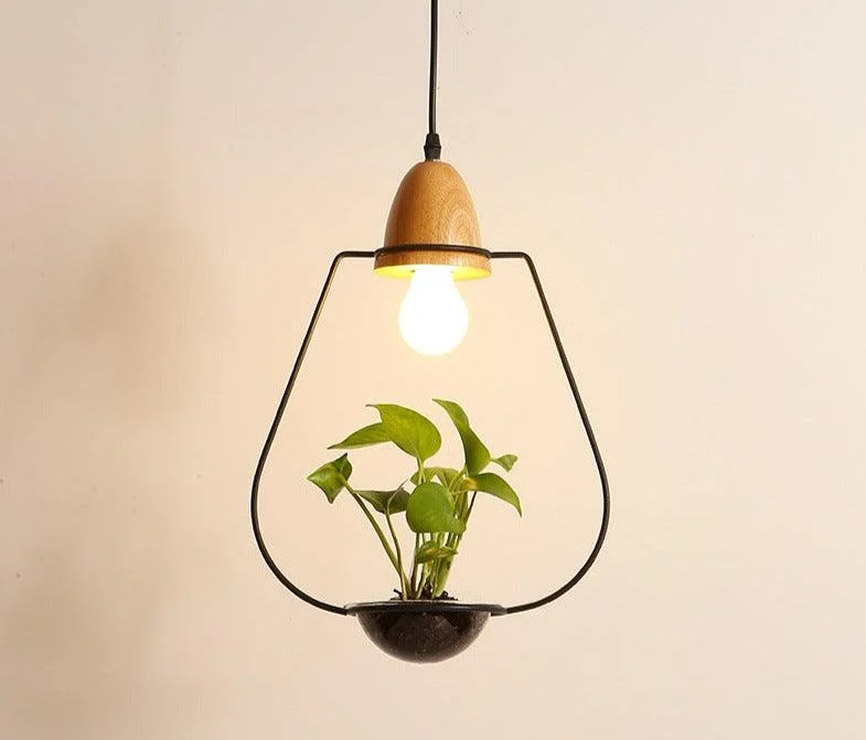 Homeko - Planter Pendant Lights -