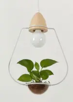 Homeko Planter Pendant Lights
