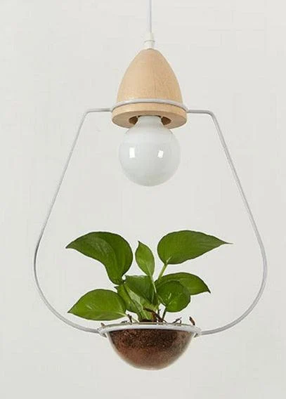 Homeko - Planter Pendant Lights -