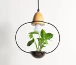 Homeko Planter Pendant Lights