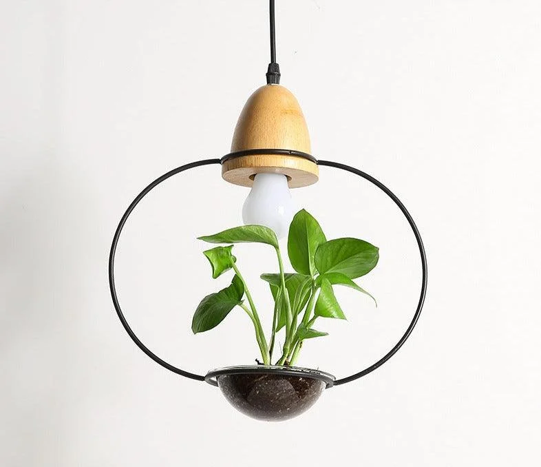 Homeko - Planter Pendant Lights -