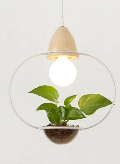 Homeko - Planter Pendant Lights -