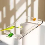Homeko Art Clear Rectangular Acrylic Trays