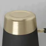 Homeko Black Gold Wall Sconce
