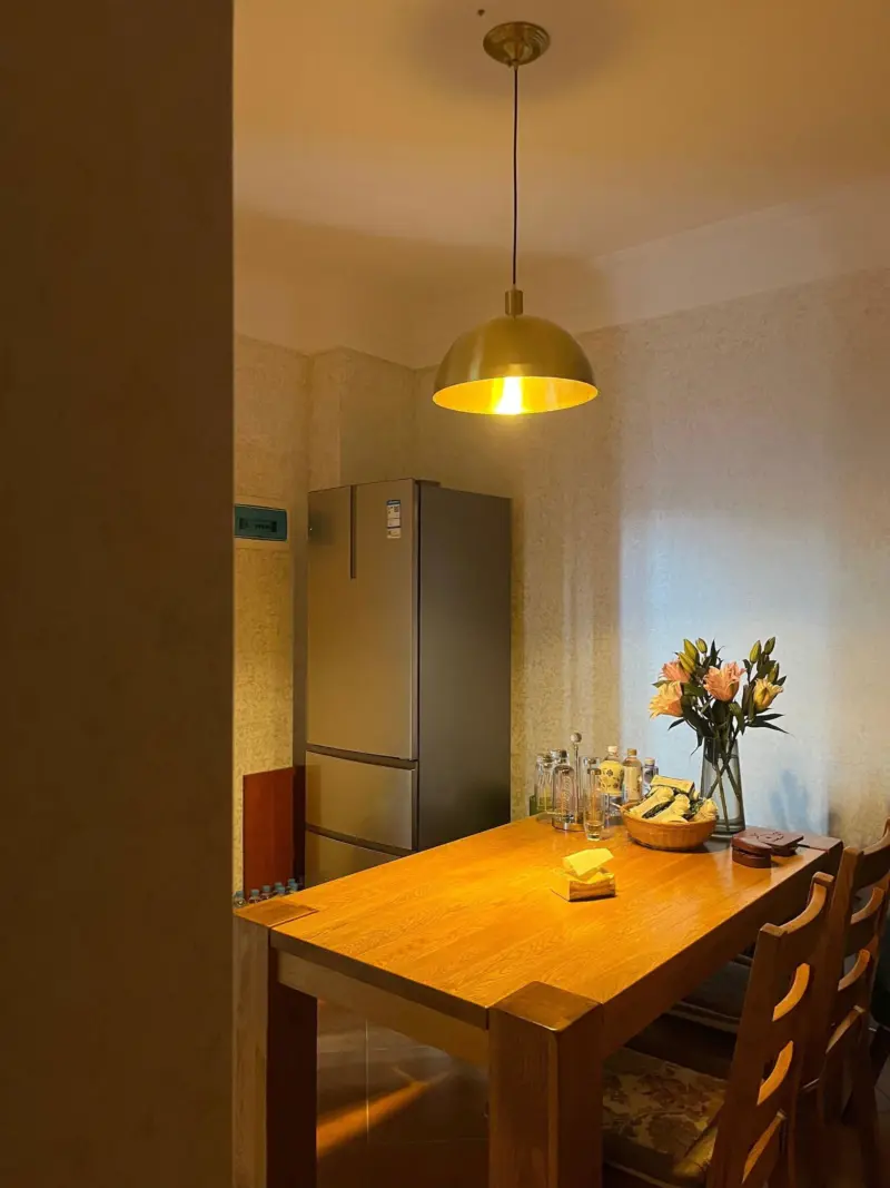 Homeko Brass Pendant Lamp