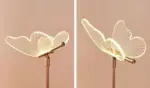 Homeko Butterfly Rechargeable Table Lamp