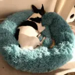 Homeko Calming Dog Cat Bed