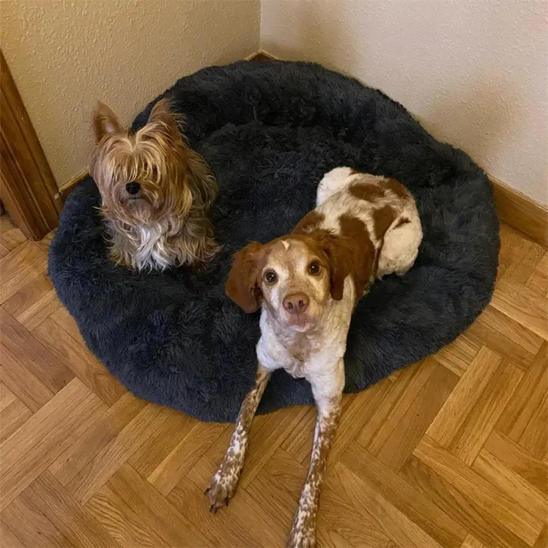Homeko Calming Dog Cat Bed