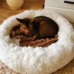 Homeko Calming Dog Cat Bed