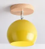 Homeko Ceiling Light