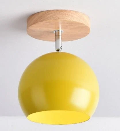 Homeko Ceiling Light -