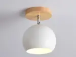 Homeko Ceiling Light