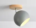 Homeko Ceiling Light