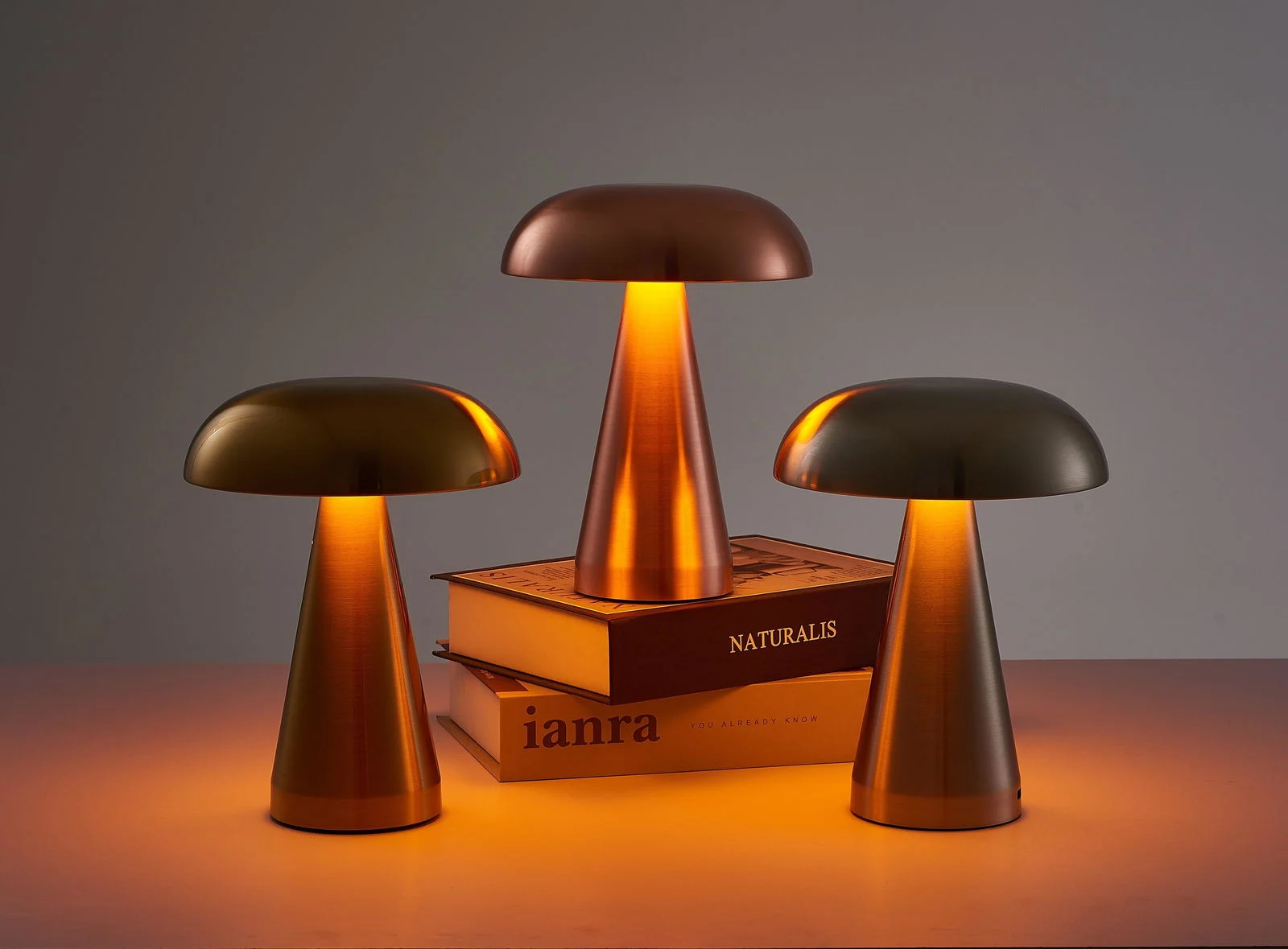 Homeko Charm LED Table Lamp -