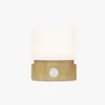 Homeko Cylindrical USB Night Lamp