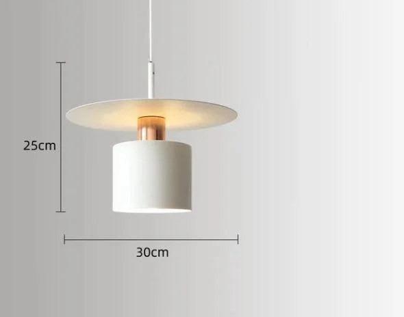 Homeko Denmark Disk Round Pendant Light -