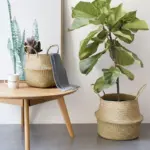 Homeko Flower Planter Storage Baskets