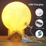Homeko_Full_Moon_Lamp_-_-4236695 Homeko Full Moon Lamp