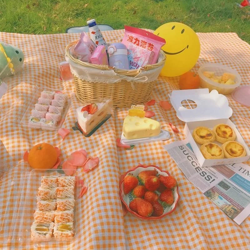 Homeko Gingham Picnic Blanket -