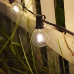 Homeko Glass Bulb String Lights