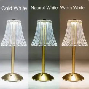 Homeko Glass Cordless Table Lamp