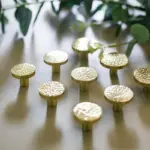 Homeko Golden Brass Wall Hooks