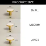 Homeko Golden Brass Wall Hooks