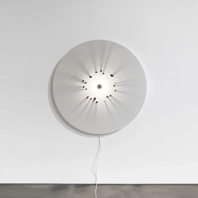 Homeko Hole Wall Lamp