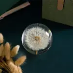 Homeko_I_See_A_Bright_Future_Dandelion_Crystal_Ball_-_-4249960 Homeko I See A Bright Future Dandelion Crystal Ball