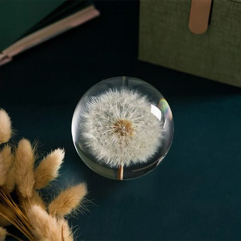 Homeko I See A Bright Future Dandelion Crystal Ball -