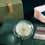 Homeko_I_See_A_Bright_Future_Dandelion_Crystal_Ball_-_-4249966 Homeko I See A Bright Future Dandelion Crystal Ball