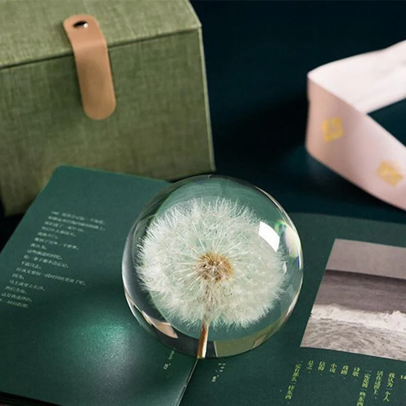 Homeko I See A Bright Future Dandelion Crystal Ball -