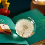 Homeko_I_See_A_Bright_Future_Dandelion_Crystal_Ball_-_-4249973 Homeko I See A Bright Future Dandelion Crystal Ball