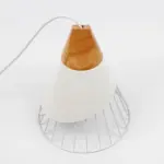 Homeko Iron Cage Pendant Light
