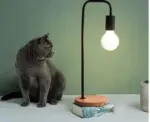 Homeko Iron Curved Table Lamp