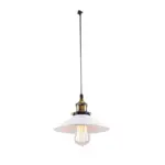 Homeko_Iron_Plated_Industrial_Pendant_Light_-_-4251817 Homeko Iron Plated Industrial Pendant Light