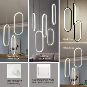 Homeko LED Hooped Pendant Lights