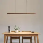 Homeko LED Light Fixture