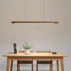 Homeko LED Light Fixture