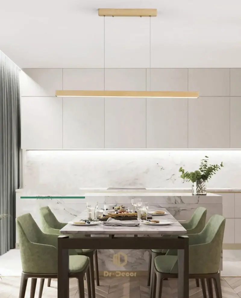 Homeko LED Light Fixture