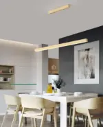 Homeko LED Light Fixture