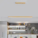 Homeko LED Light Fixture