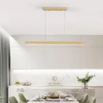 Homeko LED Light Fixture