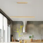 Homeko LED Light Fixture