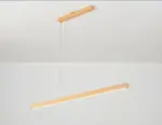 Homeko LED Light Fixture